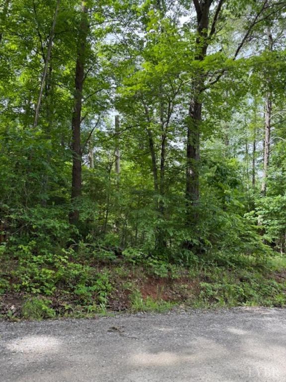 0 E. Pamplin Road, Pamplin, VA 23958