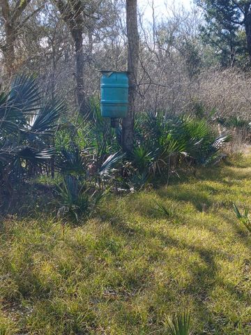 0000 Hasema, Van Vleck, TX 77482