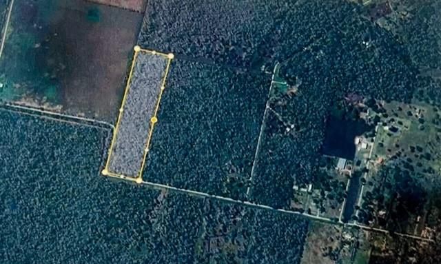 0000 Hasema, Van Vleck, TX 77482