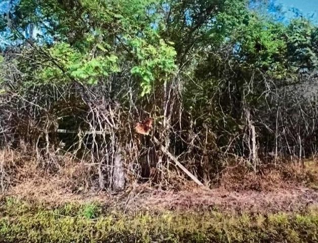 0000 Hasema, Van Vleck, TX 77482