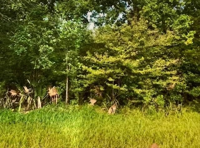 0000 Hasema, Van Vleck, TX 77482