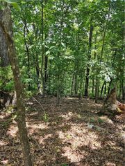 Blueberry Lane, Lowell, AR 72745
