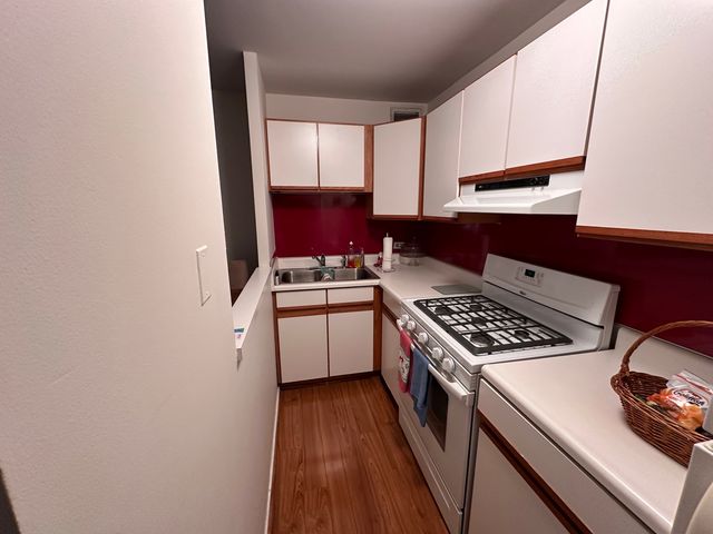 3021 S Michigan Avenue 311, Chicago, IL 60616