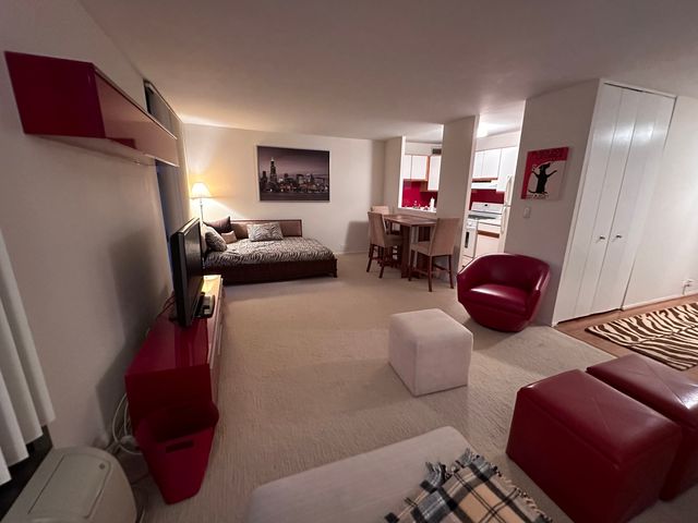 3021 S Michigan Avenue 311, Chicago, IL 60616