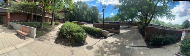 3021 S Michigan Avenue 311, Chicago, IL 60616