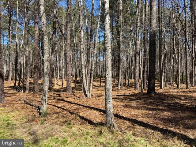 12001 HONOR BRIDGE FARM DR, Spotsylvania, VA 22551