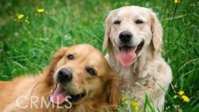 2945 Reeves Lane, Lakeport, CA 95453