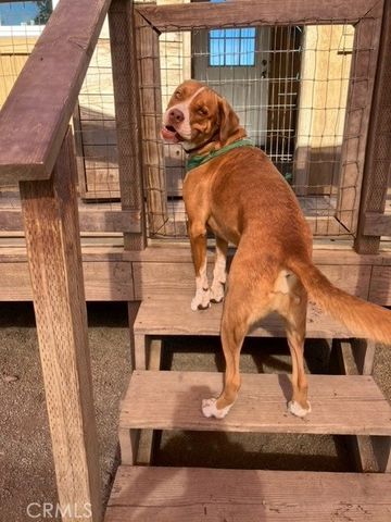 2945 Reeves Lane, Lakeport, CA 95453