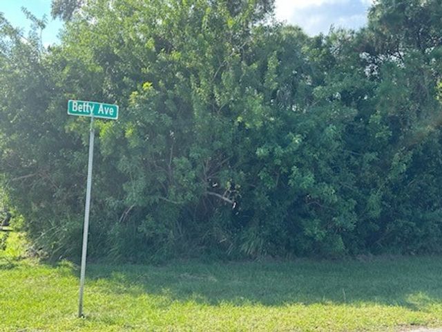 401 Betty Avenue, Sebastian, FL 32958