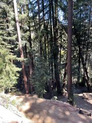 17939 Apache Trail, Los Gatos, CA 95033