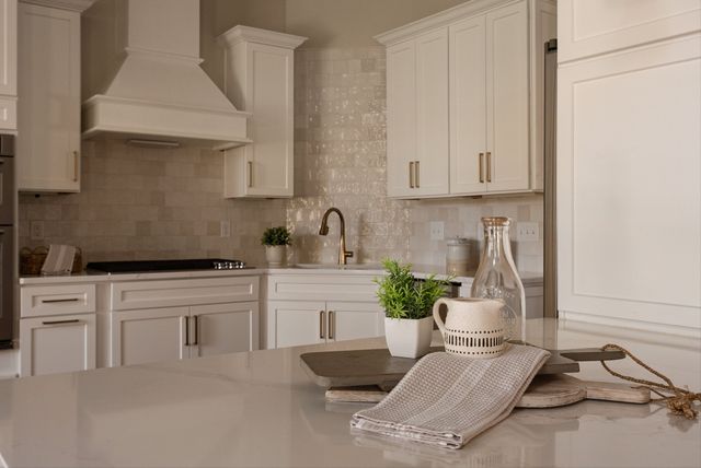 1058 Alice Springs Cir, Spring Hill, TN 37174