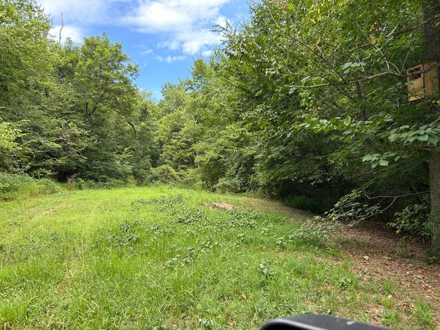 3703 Bear Hollow Road, Pineville, MO 64856