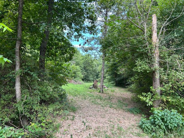 3703 Bear Hollow Road, Pineville, MO 64856