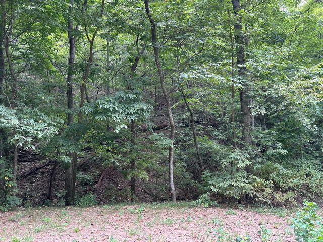 3703 Bear Hollow Road, Pineville, MO 64856