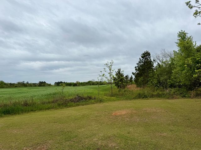 10490 Dodge Street, Haleburg, AL 36319