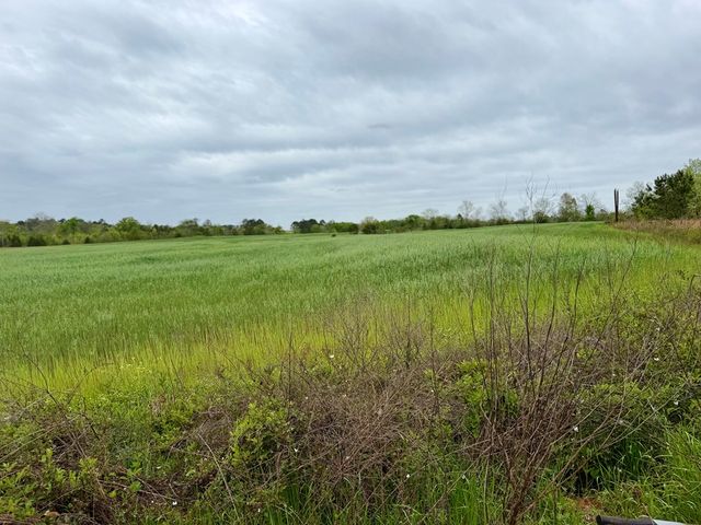 10490 Dodge Street, Haleburg, AL 36319