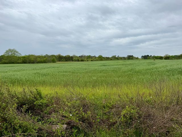 10490 Dodge Street, Haleburg, AL 36319