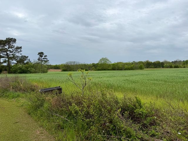 10490 Dodge Street, Haleburg, AL 36319