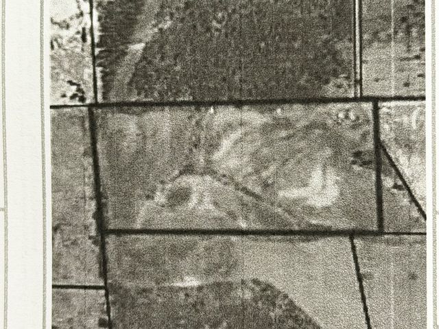 10490 Dodge Street, Haleburg, AL 36319