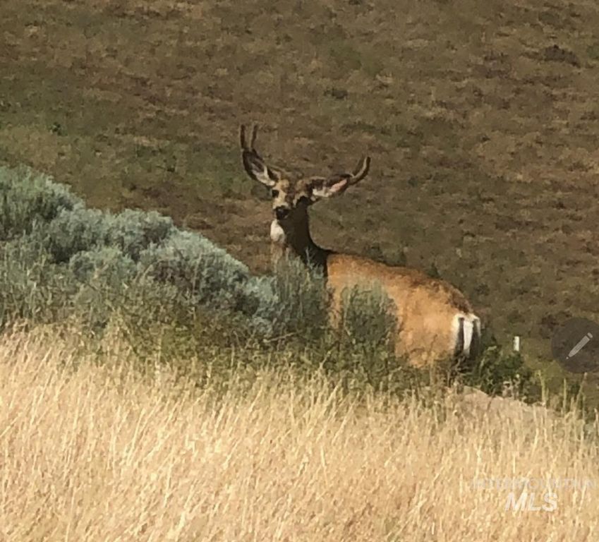 2871 Hwy 12, Clarkston, WA 99403 photo 11