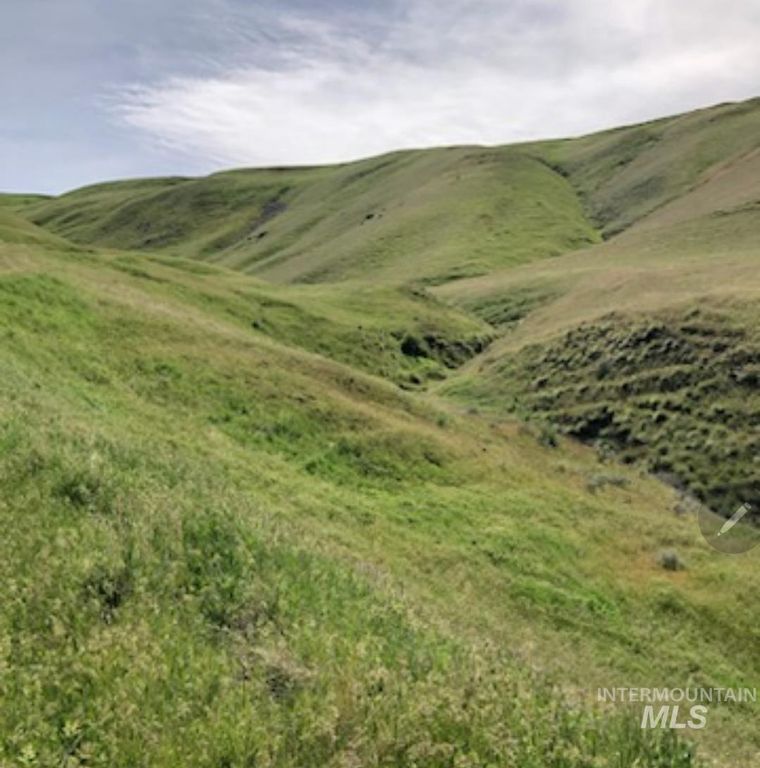 2871 Hwy 12, Clarkston, WA 99403 photo 13