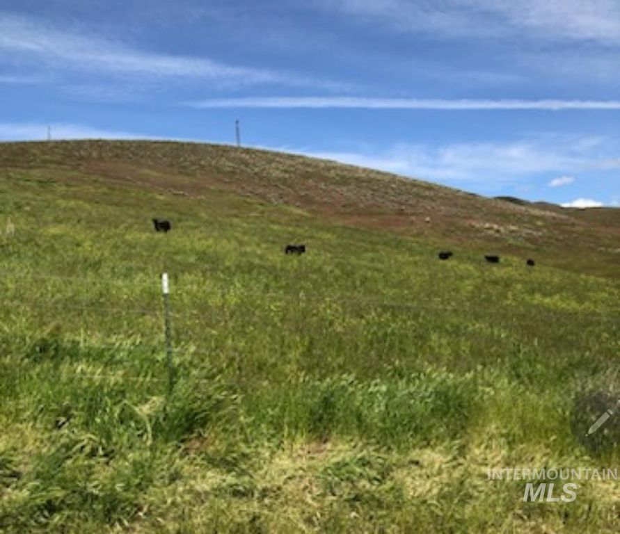 2871 Hwy 12, Clarkston, WA 99403 photo 14