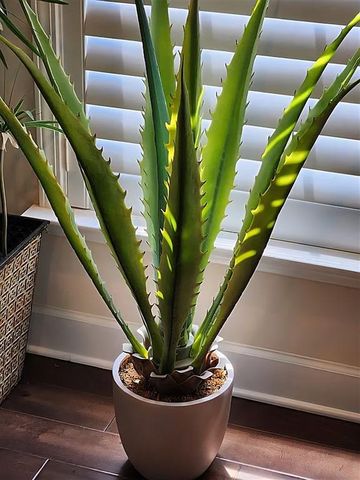 3581 Adelaide Crossing, Brookhaven, GA 30319