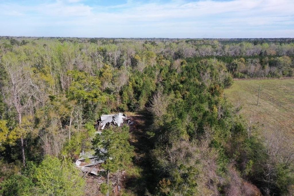 Image 1 of property listing at XX Sycamore Road, Greensboro, FL 32330