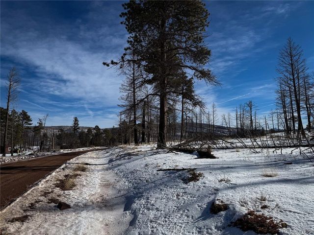 591 Leslie Loop, Fort Garland, CO 81133