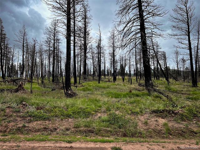 591 Leslie Loop, Fort Garland, CO 81133