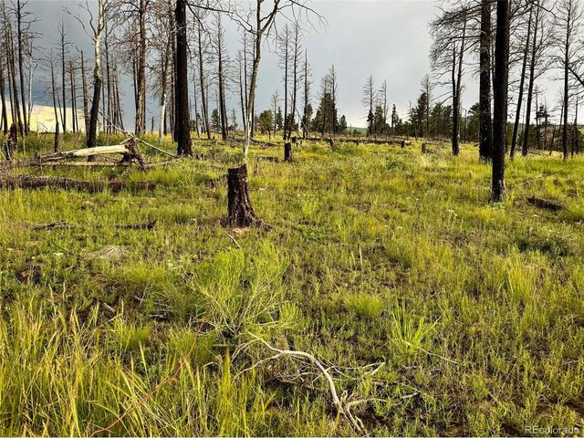 591 Leslie Loop, Fort Garland, CO 81133