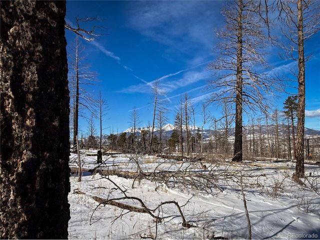 591 Leslie Loop, Fort Garland, CO 81133