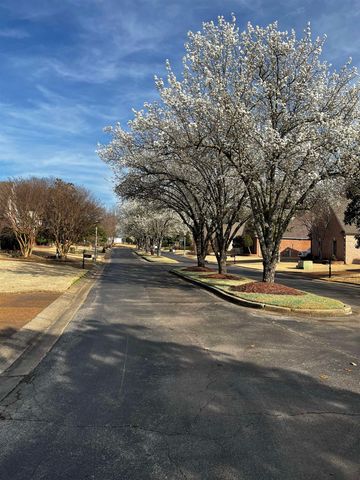 8423 WOOD MANOR CV, Memphis, TN 38016