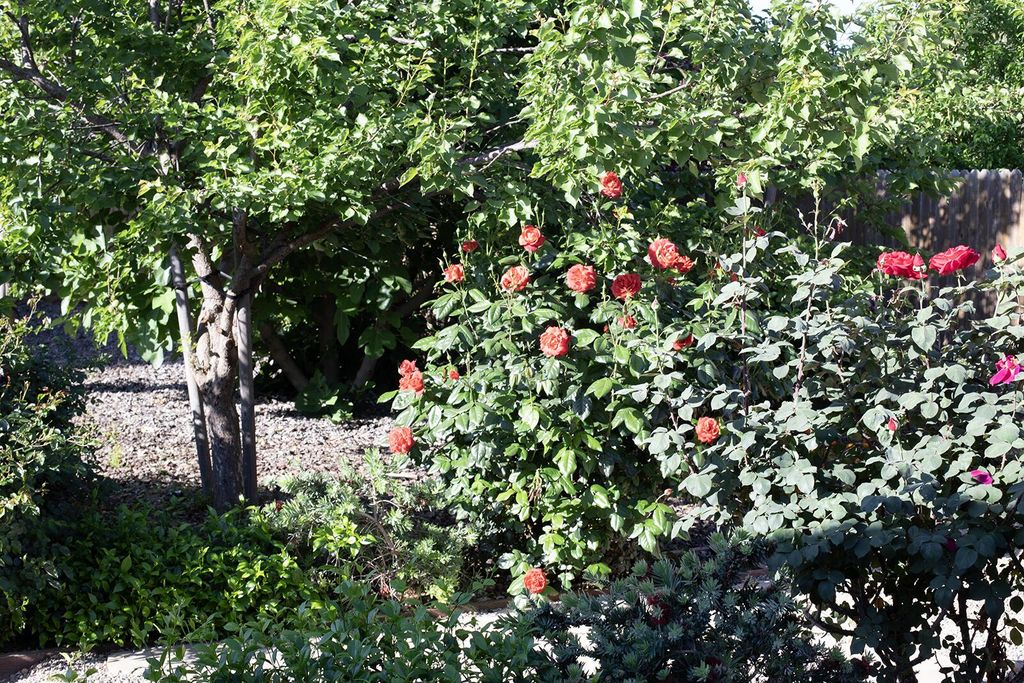 Image 10 of property listing at 2508 N Kayenta Court, Visalia, CA 93291