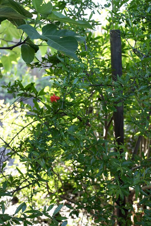 Image 11 of property listing at 2508 N Kayenta Court, Visalia, CA 93291