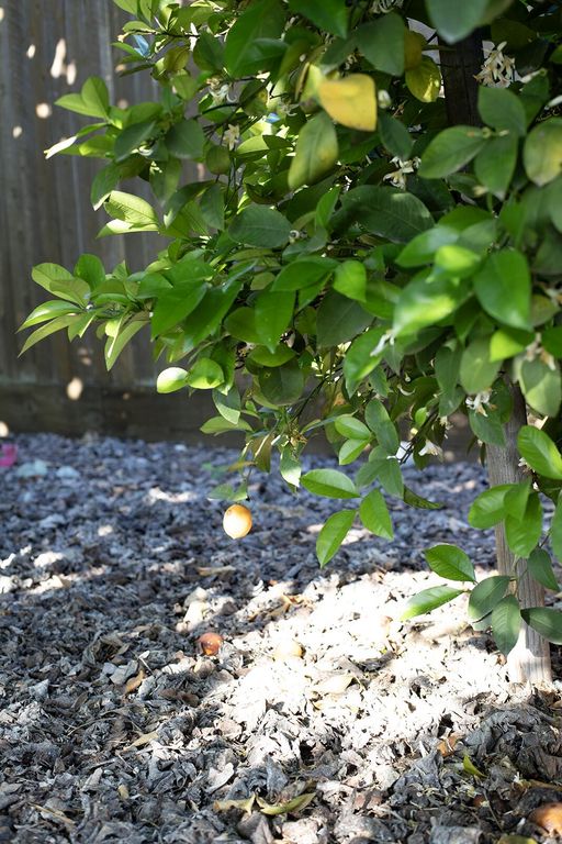 Image 14 of property listing at 2508 N Kayenta Court, Visalia, CA 93291