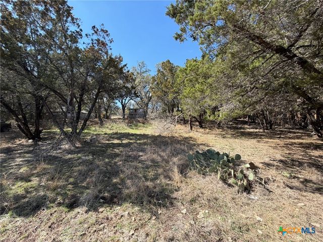 621 Royal Oak Drive, Canyon Lake, TX 78133