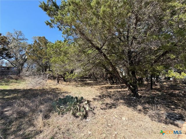 621 Royal Oak Drive, Canyon Lake, TX 78133