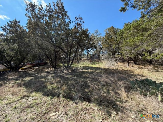 621 Royal Oak Drive, Canyon Lake, TX 78133