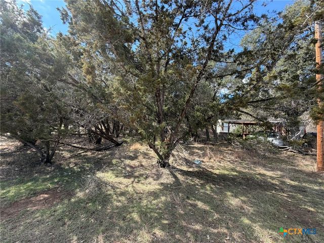 621 Royal Oak Drive, Canyon Lake, TX 78133