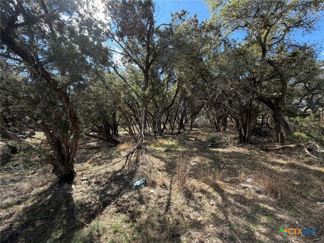 621 Royal Oak Drive, Canyon Lake, TX 78133