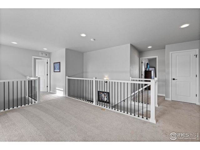 356 Bluestar Dr, Windsor, CO 80550