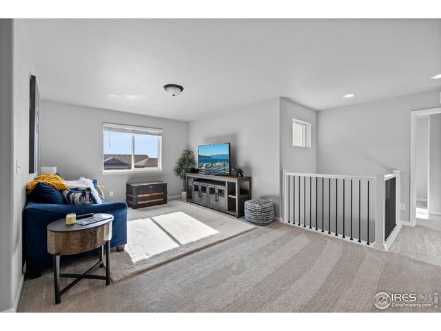 356 Bluestar Dr, Windsor, CO 80550