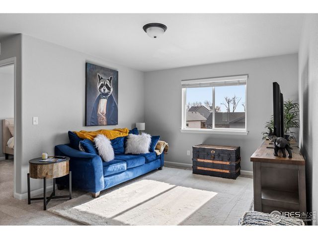 356 Bluestar Dr, Windsor, CO 80550