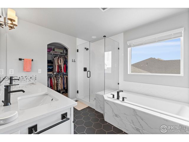 356 Bluestar Dr, Windsor, CO 80550