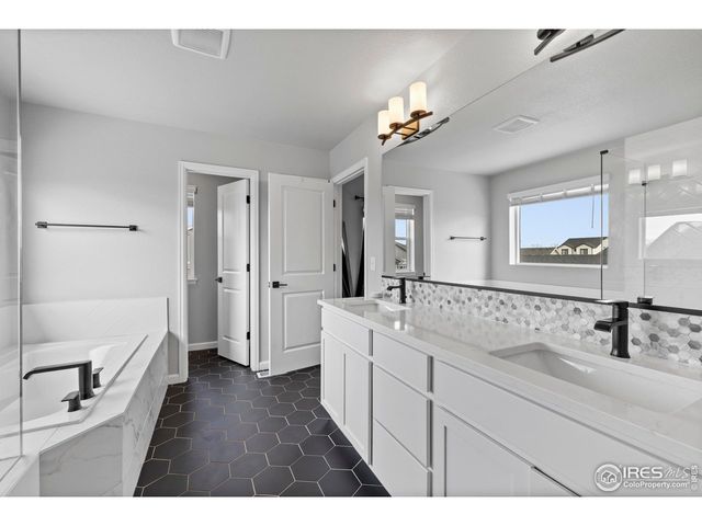 356 Bluestar Dr, Windsor, CO 80550