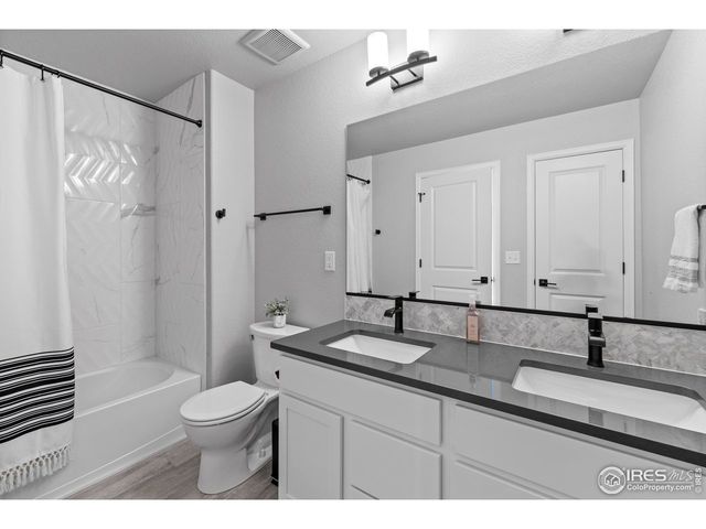 356 Bluestar Dr, Windsor, CO 80550