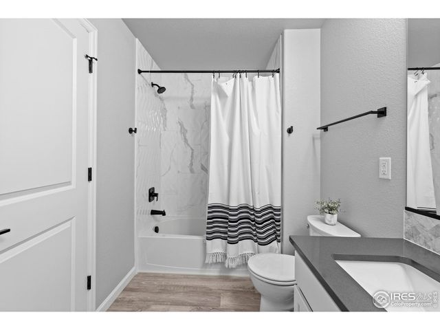 356 Bluestar Dr, Windsor, CO 80550