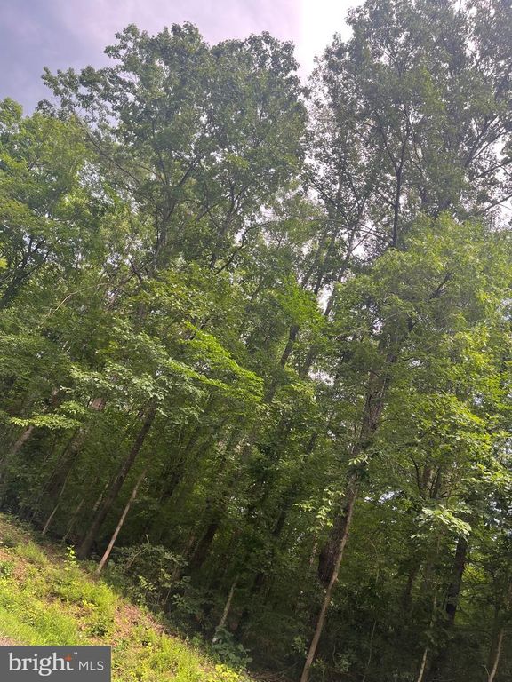 0 MEANDER RUN ROAD, Locust Dale, VA 22948