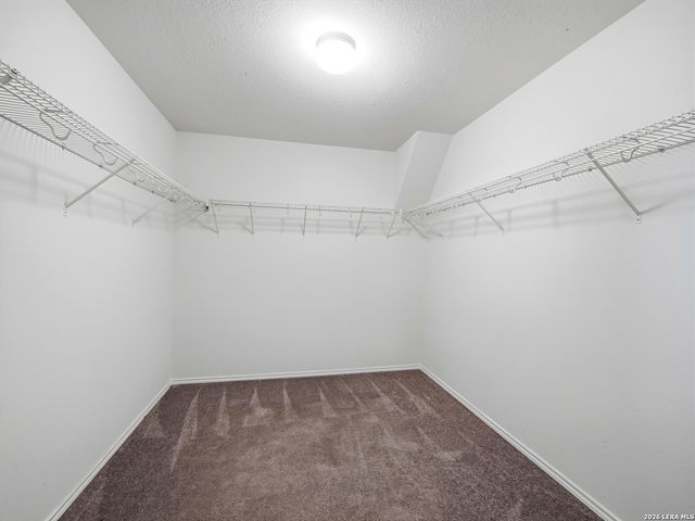 308 Autumn Rouge, New Braunfels, TX 78130